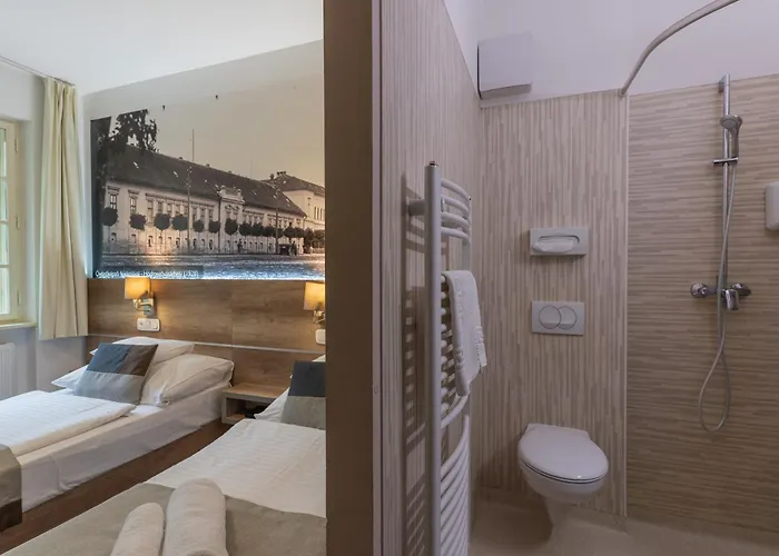 酒店 Klebelsberg Kastely 4*