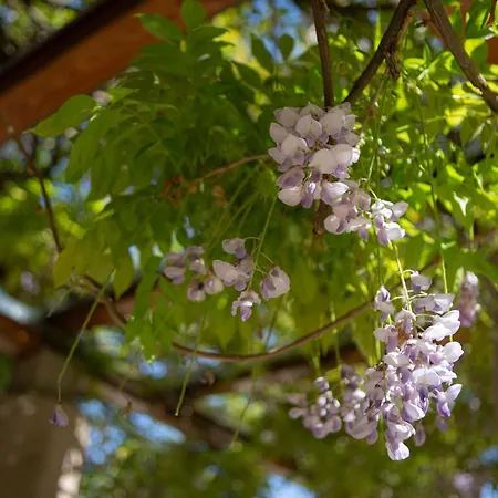 Hotel Klebelsberg Kastely
