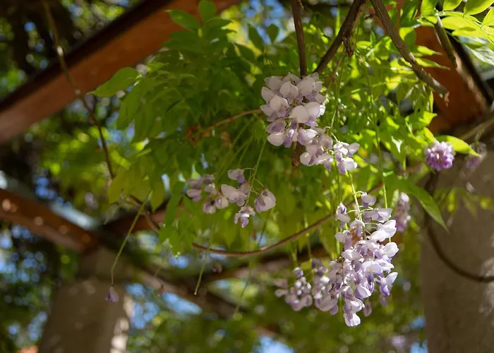 호텔 Klebelsberg Kastely
